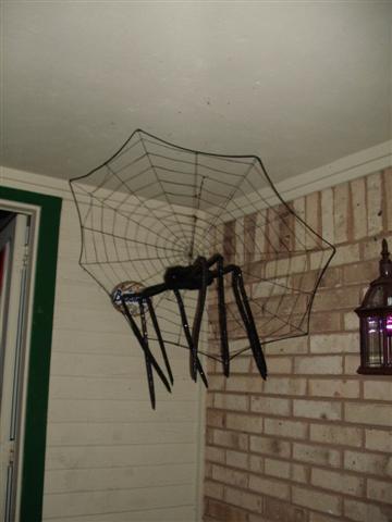 338x457 pixels (26K)