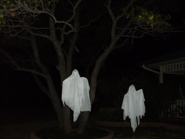 618x457 pixels (27K)