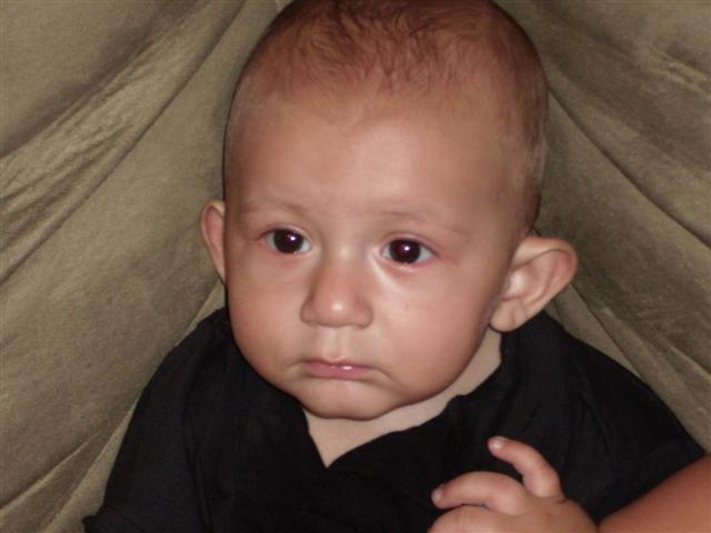 618x457 pixels (35K)