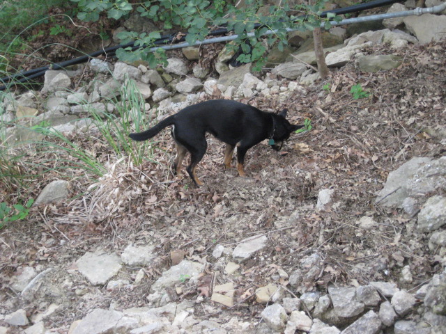 617x456 pixels (182K)