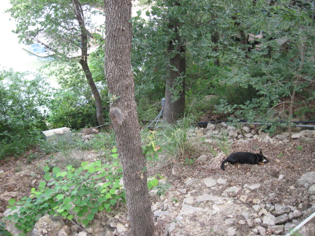 617x456 pixels (197K)