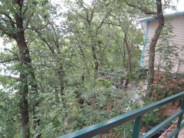 617x456 pixels (205K)