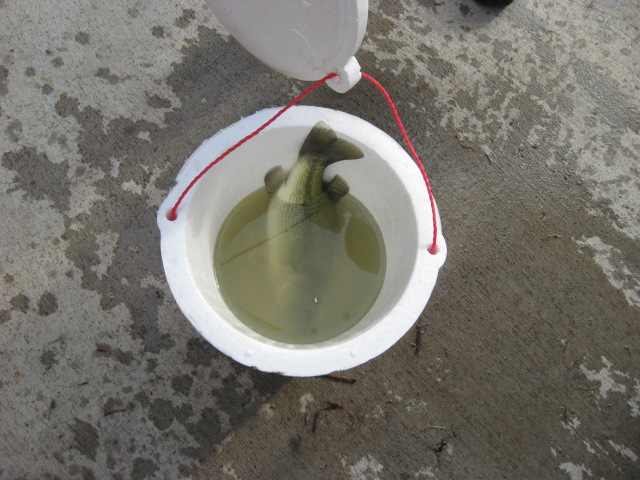 617x456 pixels (124K)