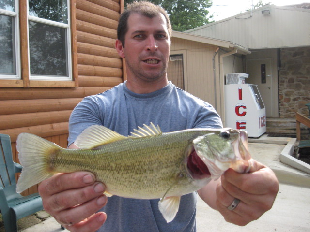 617x456 pixels (116K)