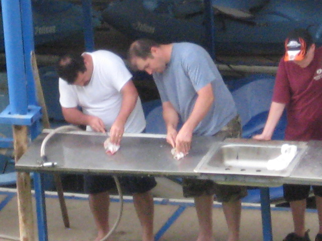 617x456 pixels (105K)