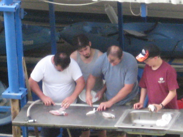 617x456 pixels (106K)