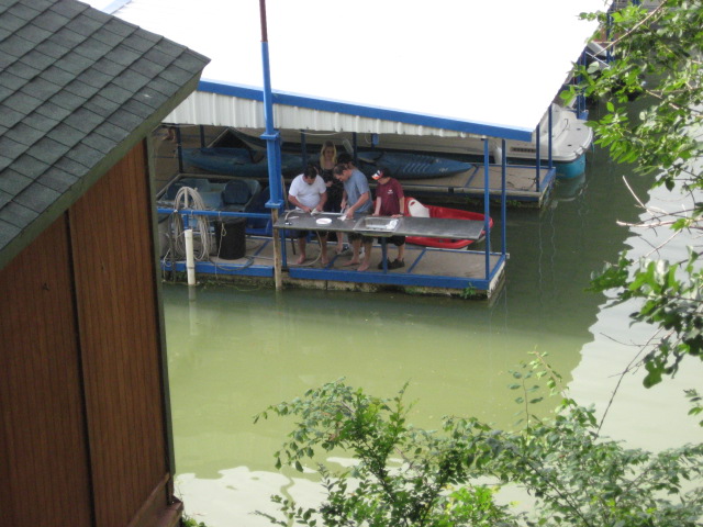 617x456 pixels (119K)