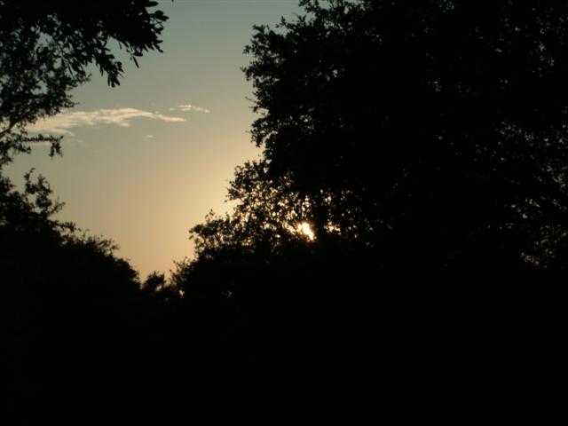 618x457 pixels (29K)