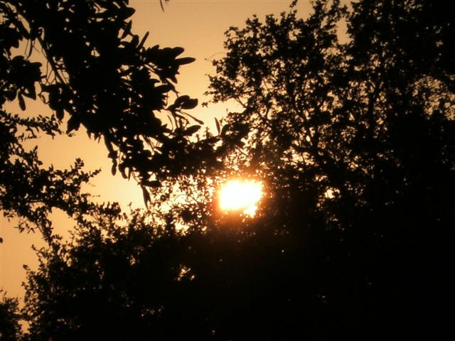 618x457 pixels (64K)