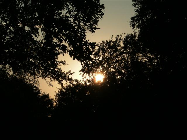 618x457 pixels (49K)