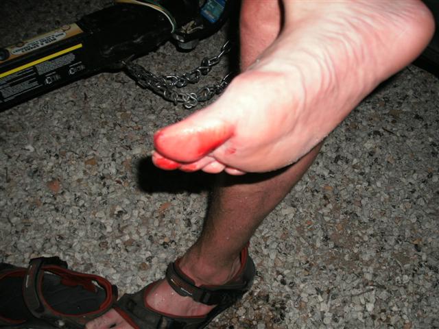 618x457 pixels (62K)