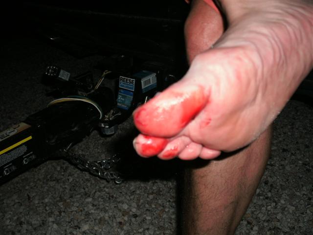 618x457 pixels (39K)