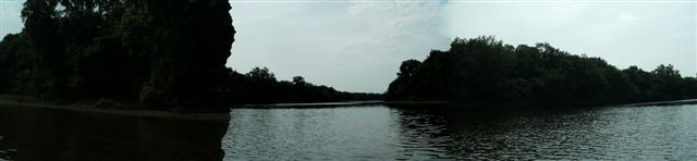 618x125 pixels (15K)