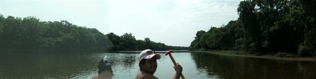 618x137 pixels (17K)