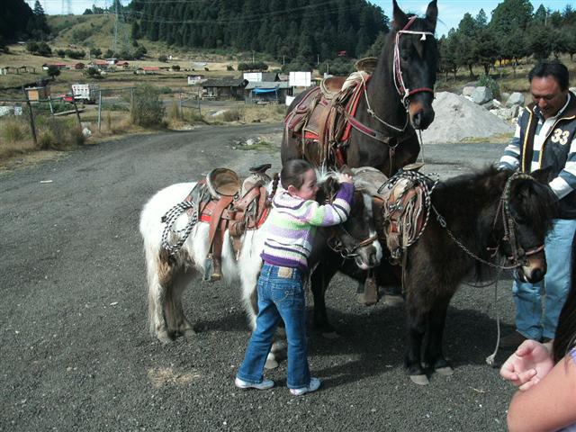 618x457 pixels (81K)