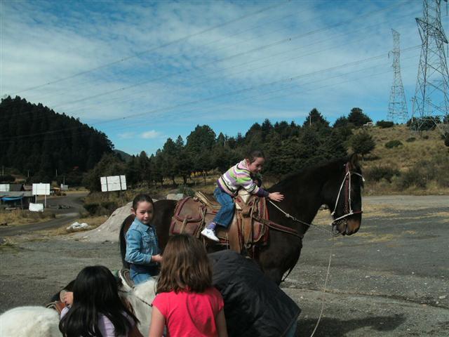 618x457 pixels (55K)