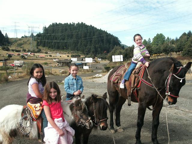 618x457 pixels (69K)