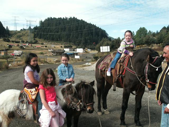 618x457 pixels (69K)