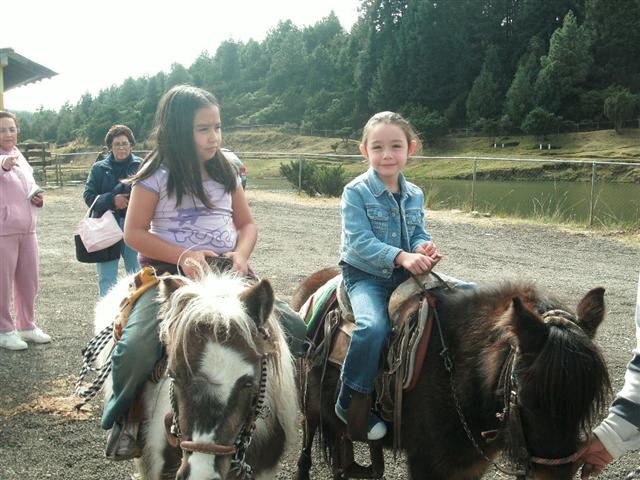 618x457 pixels (71K)