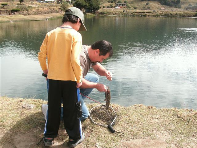 618x457 pixels (72K)