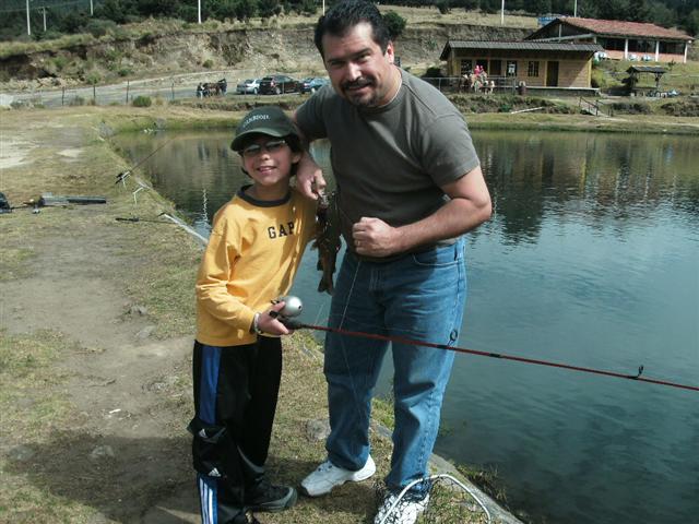 618x457 pixels (66K)