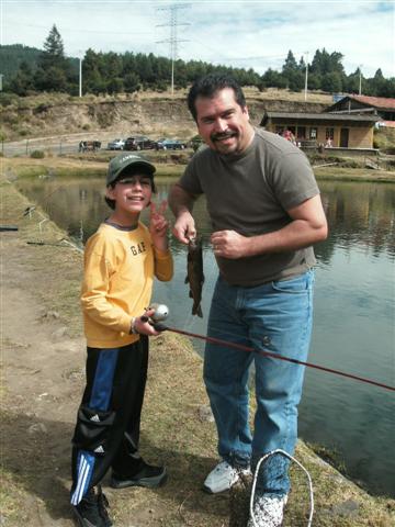 338x457 pixels (44K)