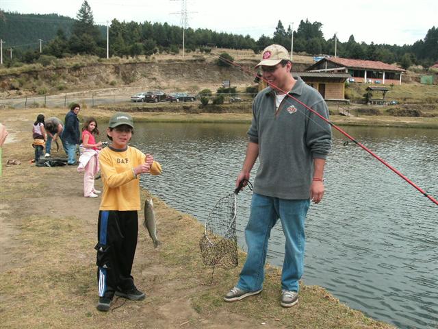 618x457 pixels (75K)