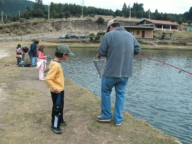 618x457 pixels (78K)