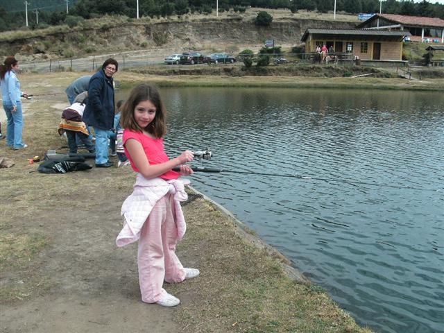 618x457 pixels (76K)