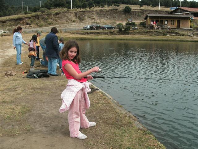 618x457 pixels (74K)