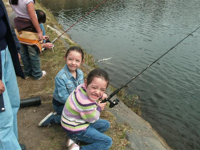 618x457 pixels (72K)