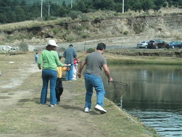 618x457 pixels (71K)