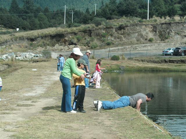 618x457 pixels (69K)