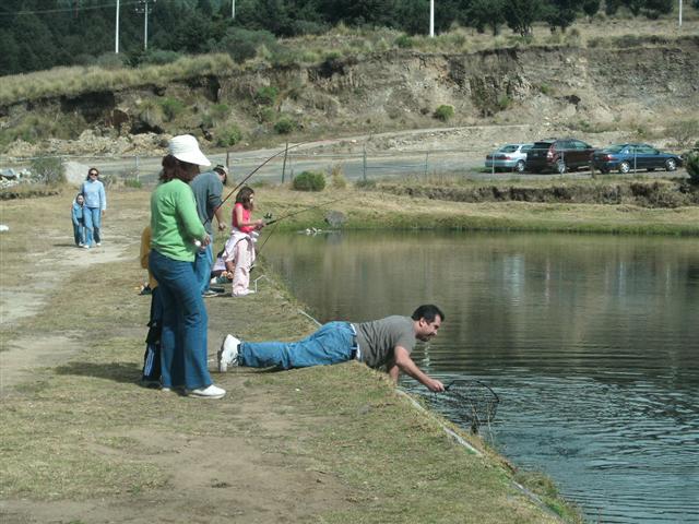 618x457 pixels (71K)