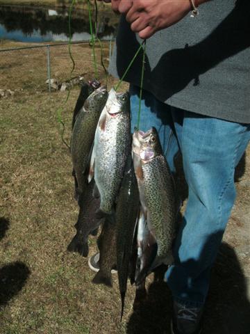 338x457 pixels (42K)