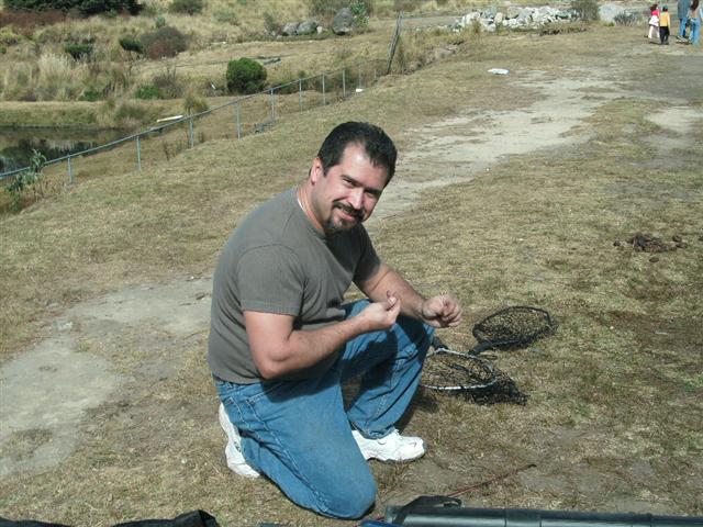 618x457 pixels (75K)