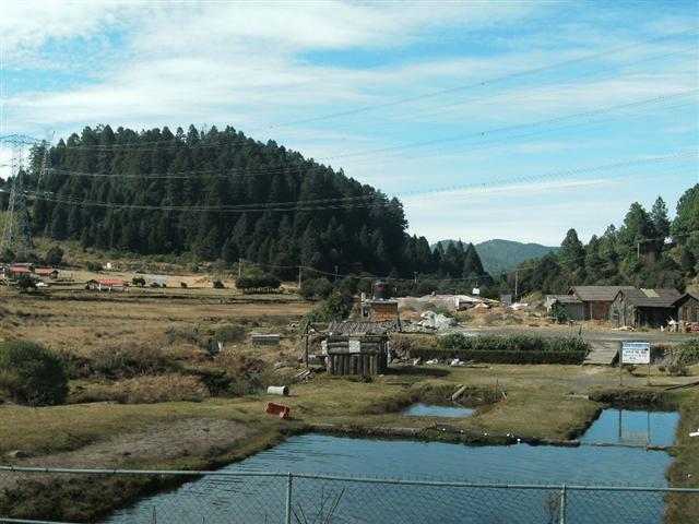 618x457 pixels (58K)