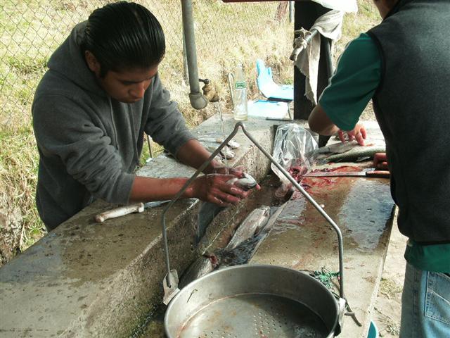 618x457 pixels (73K)