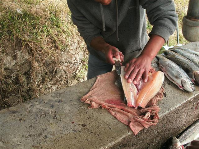 618x457 pixels (86K)