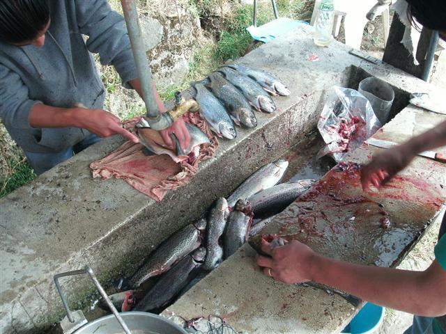 618x457 pixels (82K)