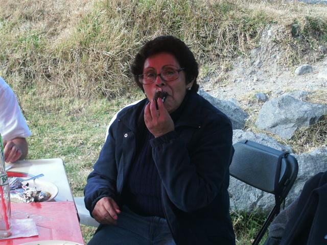 618x457 pixels (79K)