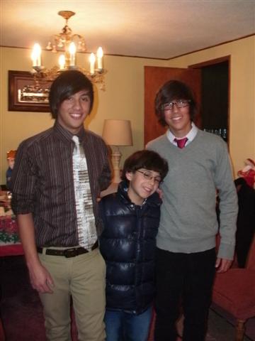 338x457 pixels (29K)