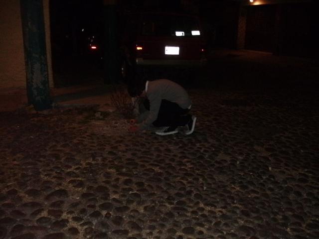 618x457 pixels (33K)