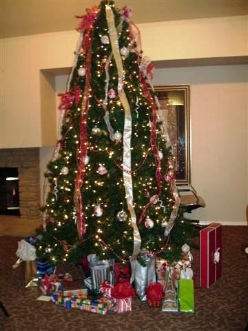 338x457 pixels (33K)