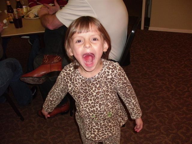 618x457 pixels (53K)