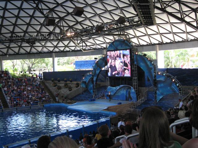 618x457 pixels (80K)