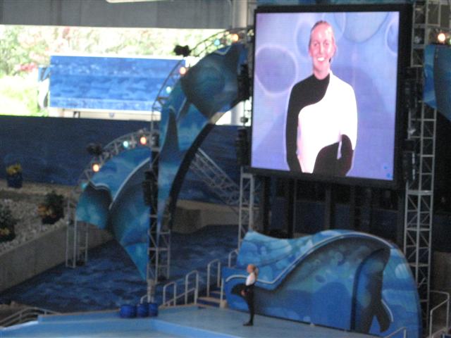 618x457 pixels (48K)