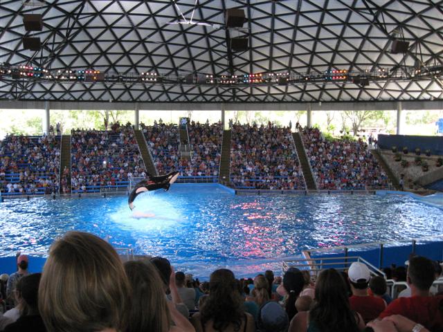 618x457 pixels (85K)