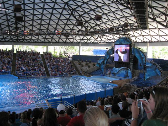 618x457 pixels (84K)