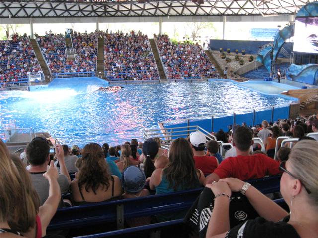 618x457 pixels (78K)